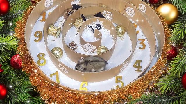 Хомяк Патрик Бежит сквозь время в новый год! Hamster Patrick Runs through time in the new year!🎄🎁🎆🎉 смотреть онлайн