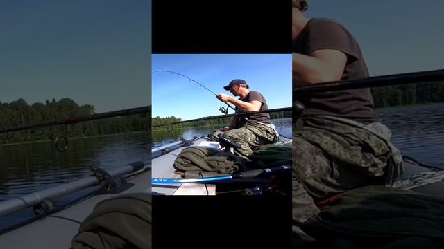 Рыбалка на лесном озере, взял хороший окунь. смотреть онлайн