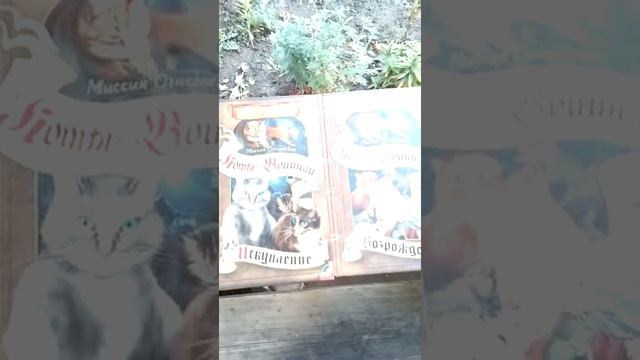 Обзор на книги Коты-Воители с Максом! смотреть онлайн