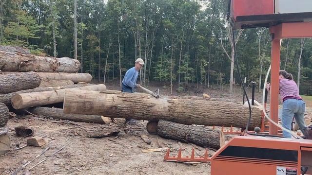 Moving Big Logs Without Big Equipment смотреть онлайн