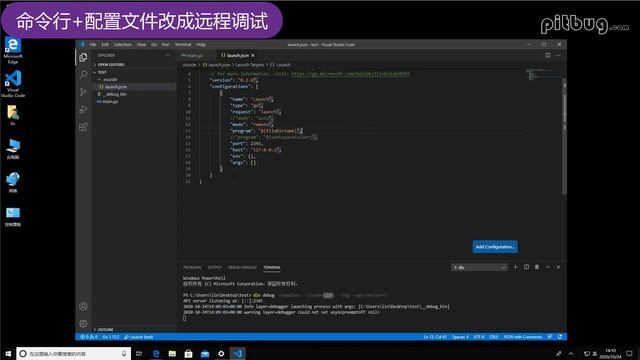Visual Studio Code 调试Go程序的os.Stdin输入 смотреть онлайн
