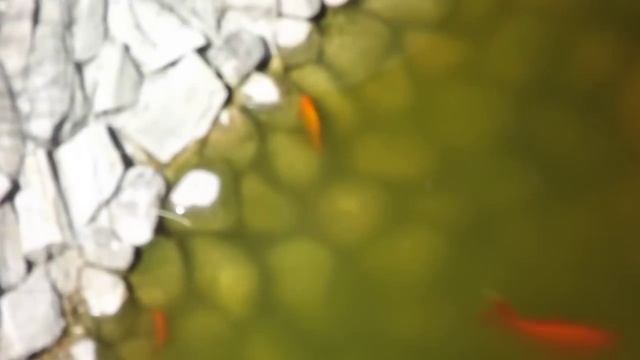 FUJI FinePix S3400 test 28x ZOOM review смотреть онлайн