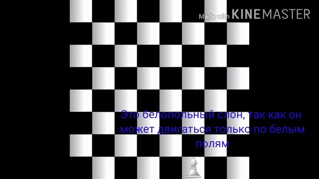 Шахматы для начинающих. 3 урок. Как ходит слон #шахматыдляначинающих