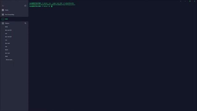 docker run with detach option смотреть онлайн