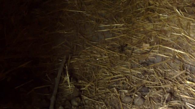 Нашли дом призрака I Не кликбейт !!! смотреть онлайн