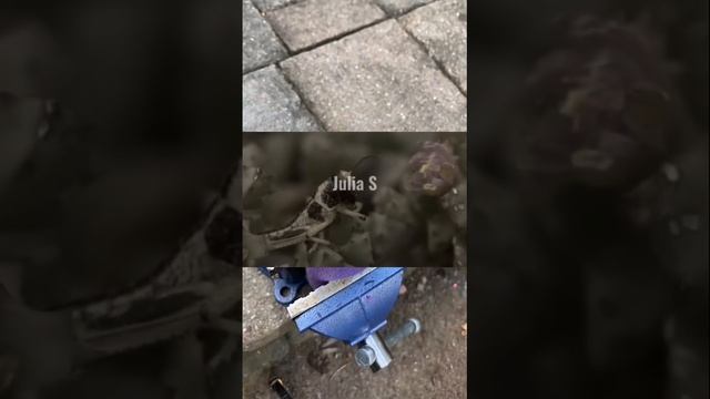 КАК РАЗНЫЕ ЖИВОТНЫЕ ВИДЯТ МИР смотреть онлайн