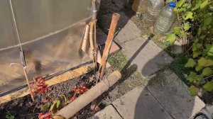 Как починить теплицу из поликарбоната