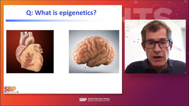 The Biology Of Aging: Unravelling The Secrets Of Healthy Aging