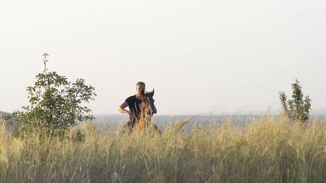 СПИТ КОВЫЛЬ смотреть онлайн