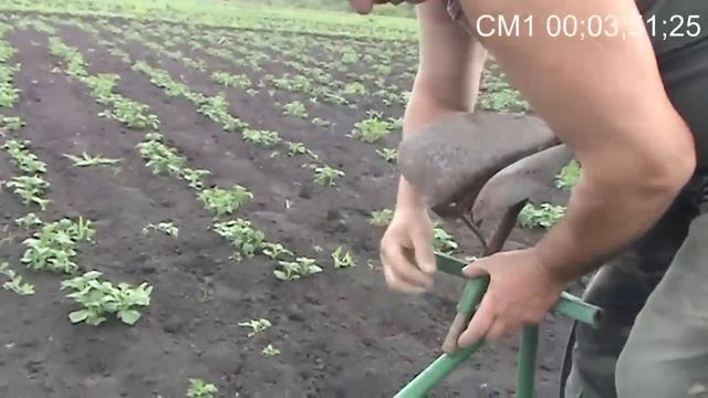 Окучивание и прополка велоблоком, и эффективнее мотоблока (ручной культиватор) смотреть онлайн