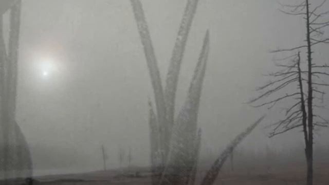Черно-белая тоска.... смотреть онлайн