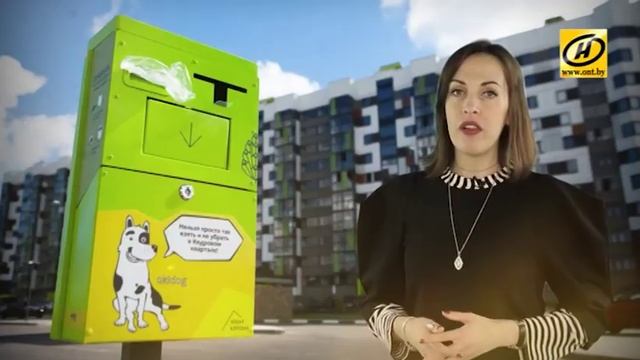 Правила этикета: убирайте за собачками, сделайте двор чистым! смотреть онлайн