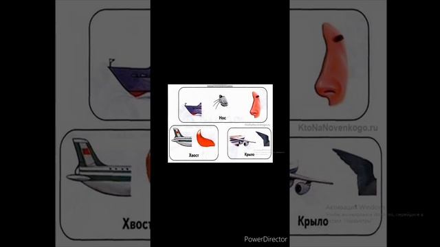 Русский язык " Омонимы и многозначные слова" смотреть онлайн