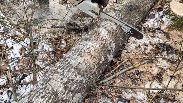 Валка Осины Бензопилой Stihl смотреть онлайн