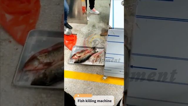 Fast and convenient fish descaling and killing machine from Eruis смотреть онлайн