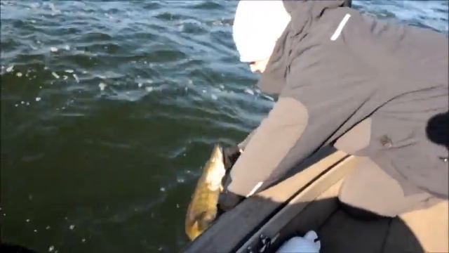 Рыбачим в Рюгене 02. 2014 смотреть онлайн