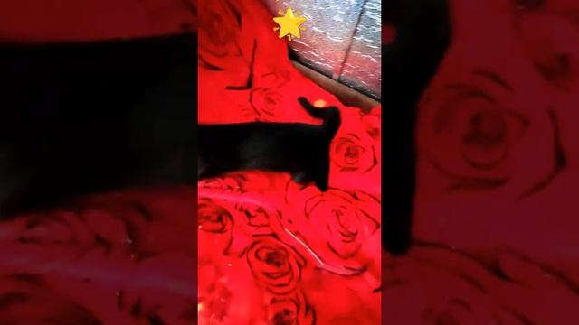 Пусть всегда будет солнце! смотреть онлайн