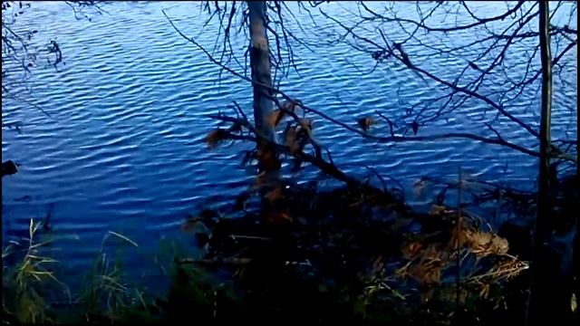 Охота 24 09 15 смотреть онлайн