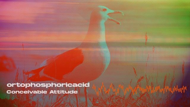 Conceivable Attitude