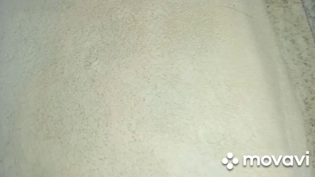 Идеальные пельмени и манты из одного теста смотреть онлайн