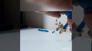 Синий ёжик Соник из пластилина