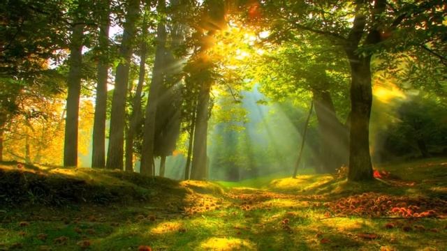 Эрнесто Кортазар. - "Тишина Бетховена". смотреть онлайн