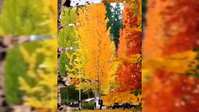 ОСЕНЬ ОНА НЕ СПРОСИТ! ОСЕНЬ ОНА ПРИДЁТ!! СЕГОДНЯ ОСЕНЬ В ДВЕРЬ МНЕ ПОЗВОНИЛА! смотреть онлайн