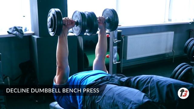 DECLINE DUMBBELL BENCH PRESS | ЖИМ ГАНТЕЛЕЙ НА ОТРИЦАТЕЛЬНОЙ СКАМЬЕ смотреть онлайн