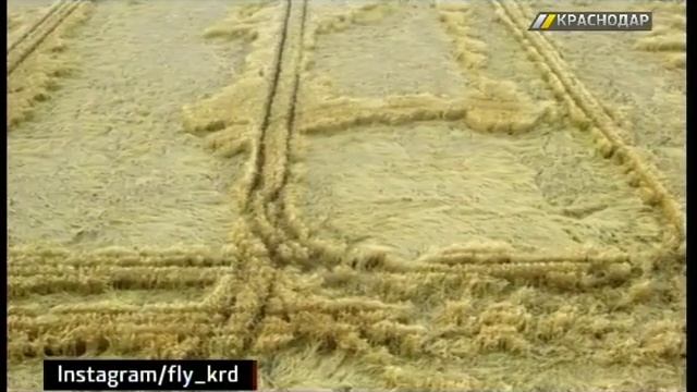 Уфологи назвали круги на полях у Знаменского посланием ветра смотреть онлайн