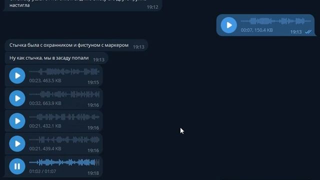 Стычка набегаторов с ЧОПом, Совёнок Фест 2023 смотреть онлайн