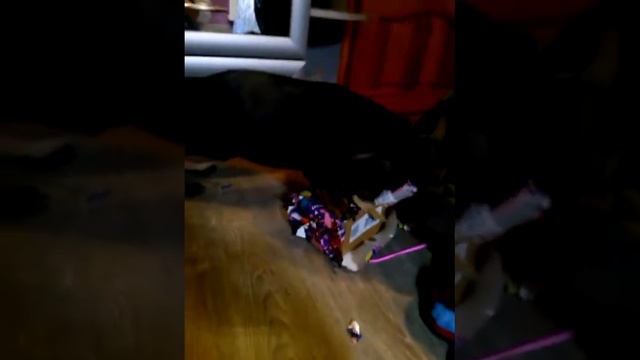 День Святого Николая смотреть онлайн