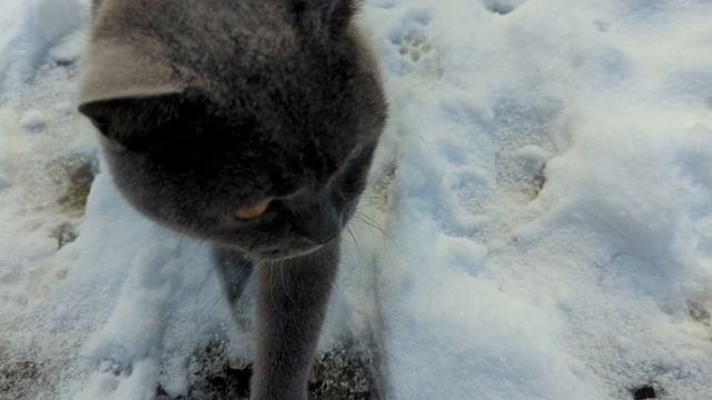 30. Ноября.День прошёл хорошо ❄️ смотреть онлайн