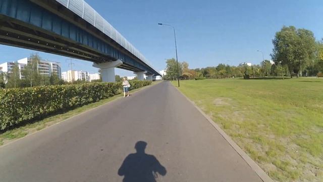 Дом-работа. Сяо, контроллер Dualtron Ltd 60volt, мк 48вольт. Maxspeed Here 45.8 Km/h