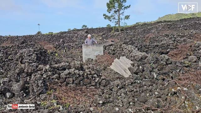 Podar a vinha do Fernando Silva 2024 São Caetano Ilha Pico Açores смотреть онлайн