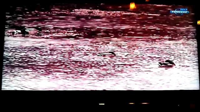 Sovok.tv on mag250 смотреть онлайн