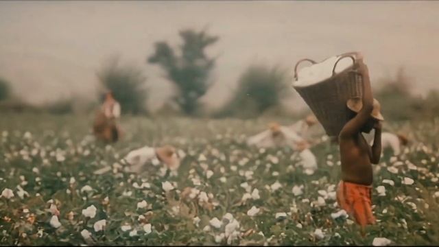 Всадник без головы