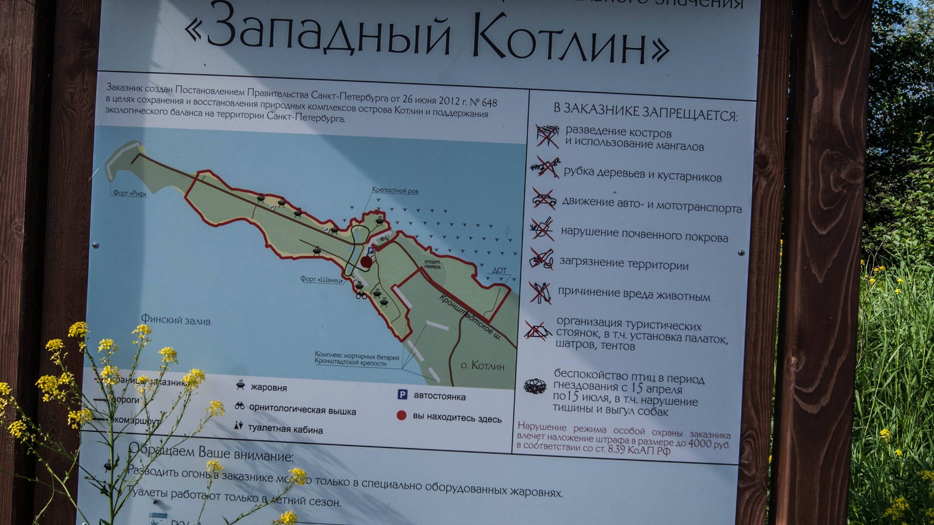 Западный Котлин смотреть онлайн