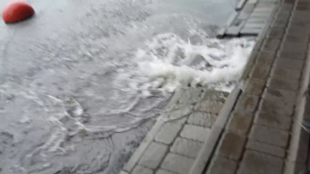 Санкт-Петербург 16.06.2016 Балканская площадь смотреть онлайн