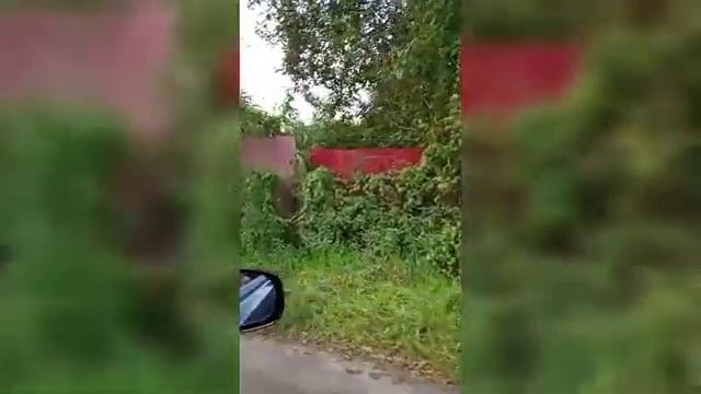 Калининградская область, Гурьевский городской округ, СНТ Электрон ( ориентир поселок Малиновка) смотреть онлайн