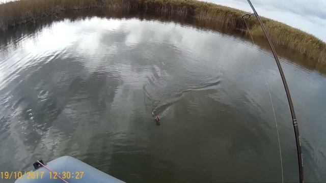 Рыбалка в х. Пригибский лиман Рясный Краснодарский Край 2017 г. смотреть онлайн