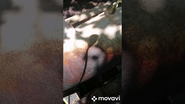 Как колоть и разделывать поросенка смотреть онлайн