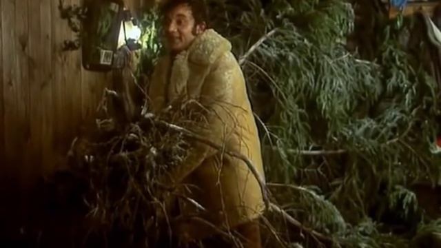 А я вам елочку принес