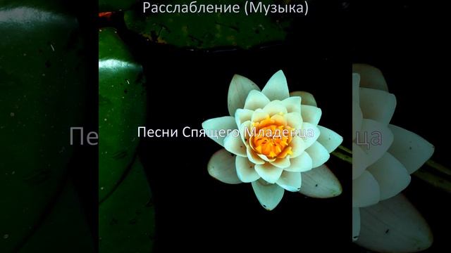 Мечты (Спать)