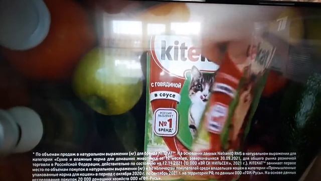 Секрет энергии Кота Бориса смотреть онлайн