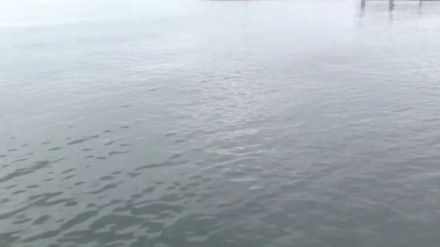 Фрегат-2.mp4 смотреть онлайн