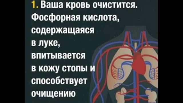 Что будет если спать с луком в носках Как лук в носках помогает от простуды и хорошо очищает кровь смотреть онлайн