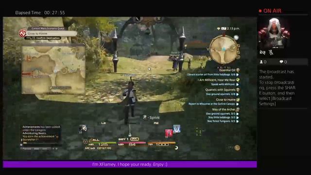 Final Fantasy XIV A Realm Reborn Archer Gameplay смотреть онлайн