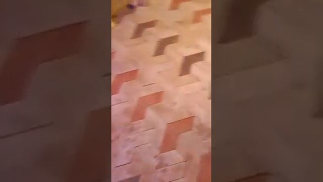 3d tile | expert mistry| смотреть онлайн