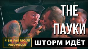 THE ПАУКИ - ШТОРМ ИДЁТ (LIVE) | 32 ГОДА НА СЦЕНЕ | ПИРАТСКИЙ ПАНК - РОК!