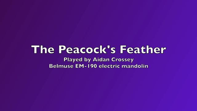 The Peacock's Feather - recorded for the Mandolin Players In Ireland Social Group смотреть онлайн